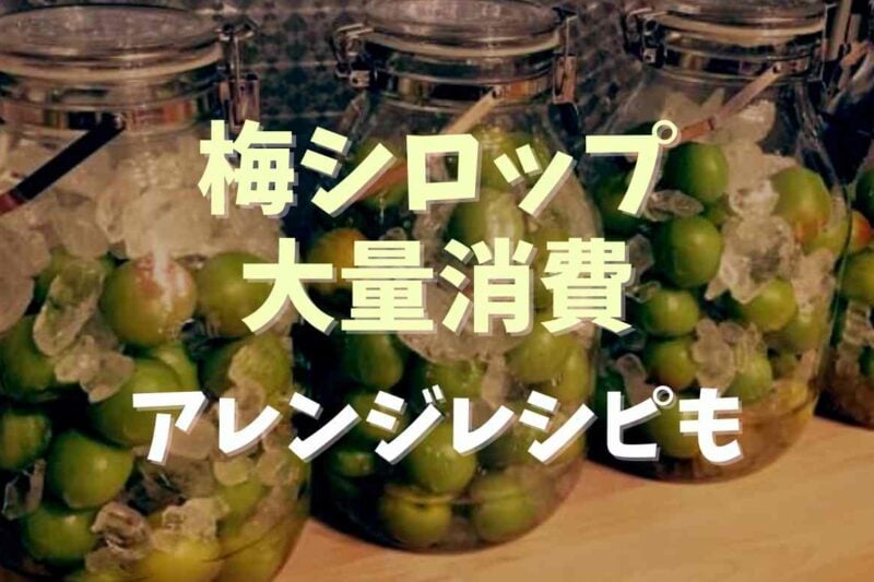 梅シロップを大量消費するには？アレンジレシピや使い方