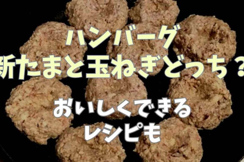 ハンバーグ作りは玉ねぎと新玉ねぎどっちがいい？おいしくできるレシピも