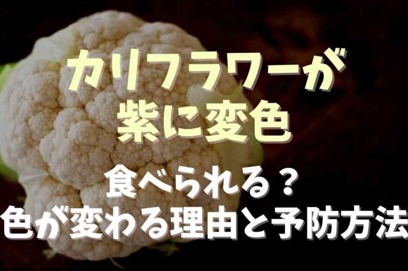 カリフラワーが紫色に変色しても食べれる？色が変わる理由や予防方法も