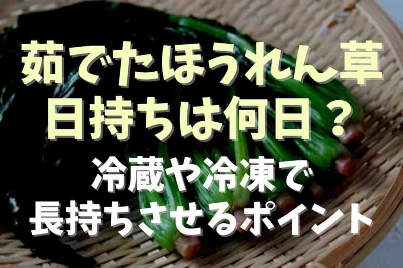 茹でたほうれん草の日持ちは何日くらい？冷蔵や冷凍で長持ちさせる保存のポイント