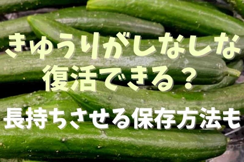 きゅうりのしなしなは復活できる？長持ちさせる保存方法も！