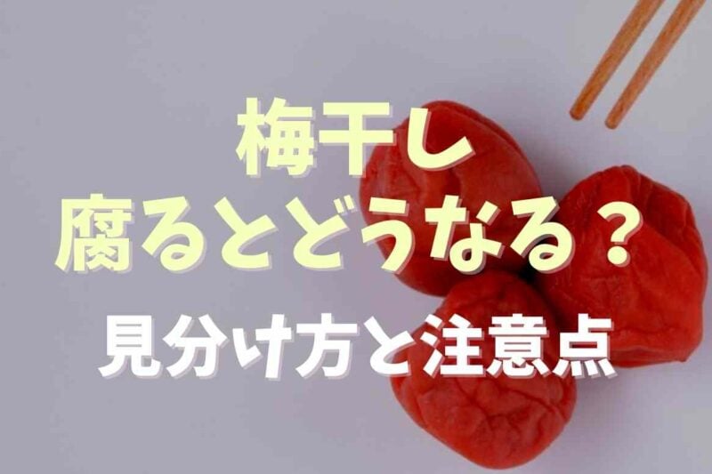 梅干しは腐るとどうなる？見分け方と注意点まとめ