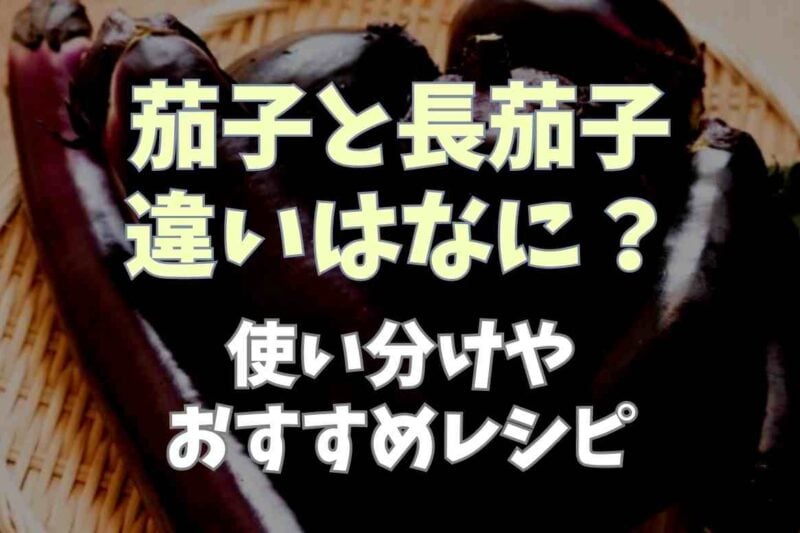 長茄子と茄子の違いは？使い分け方やそれぞれのおすすめレシピについても