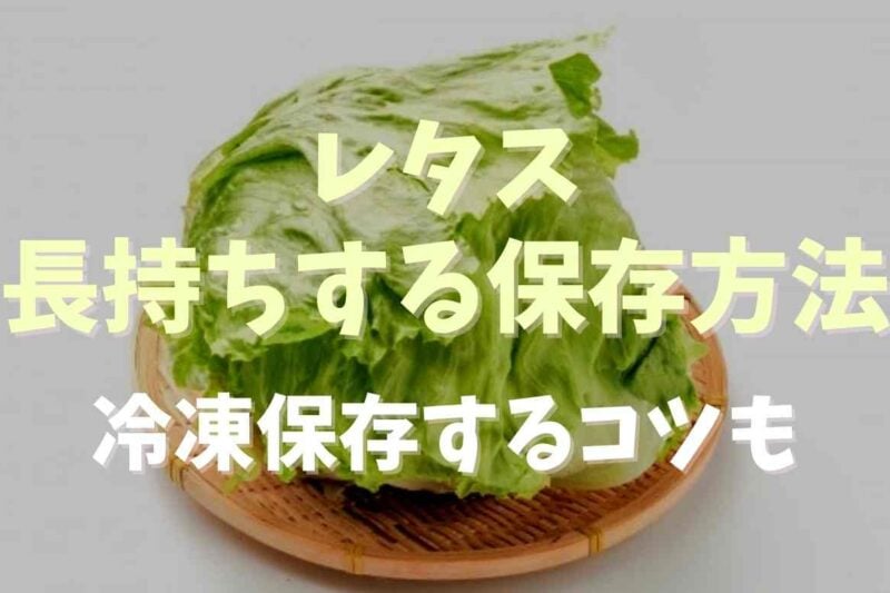 レタスが長持ちする保存方法は？冷凍保存する時のコツも紹介