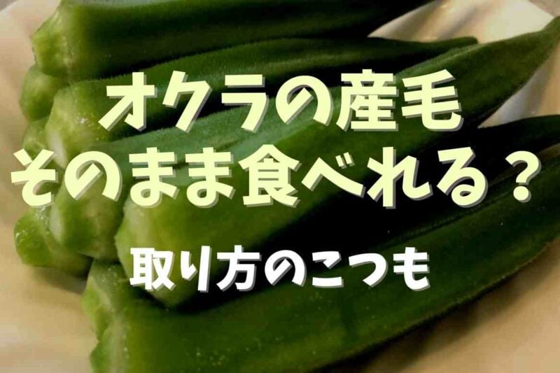 オクラの産毛はそのままでも食べれる？とれない時のとり方のコツも紹介
