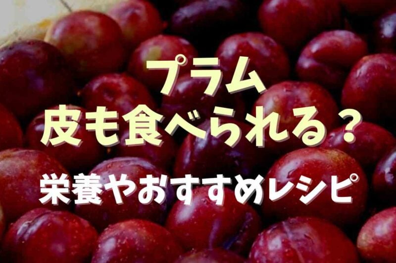 プラムは皮も食べれる？栄養やおすすめのレシピも紹介