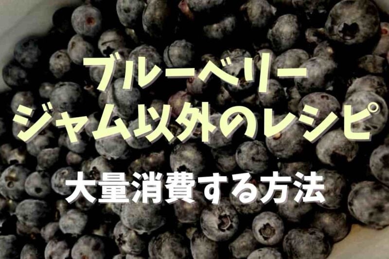 ブルーベリーのレシピはジャム以外になにがある？大量消費レシピも紹介
