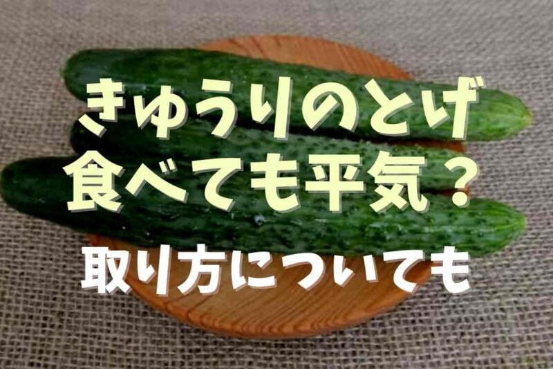きゅうりのトゲは食べても平気？取り方も紹介！