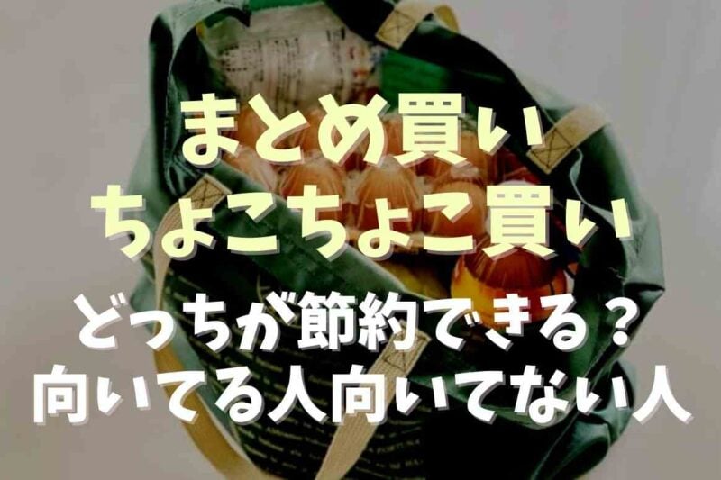 まとめ買いとちょこちょこ買いはどっちが節約できる？向いてる人向いてない人の違いも