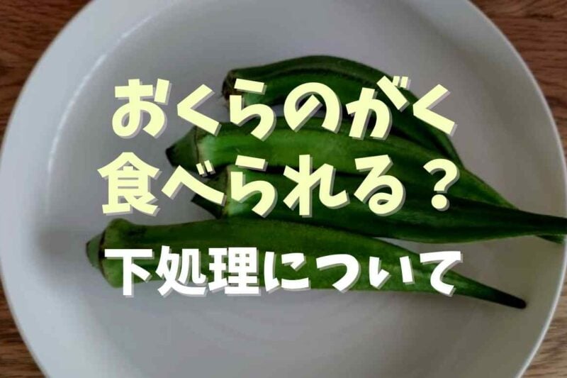 オクラのがくは取らないとどうなる？食べれるのかや下処理方法も調査