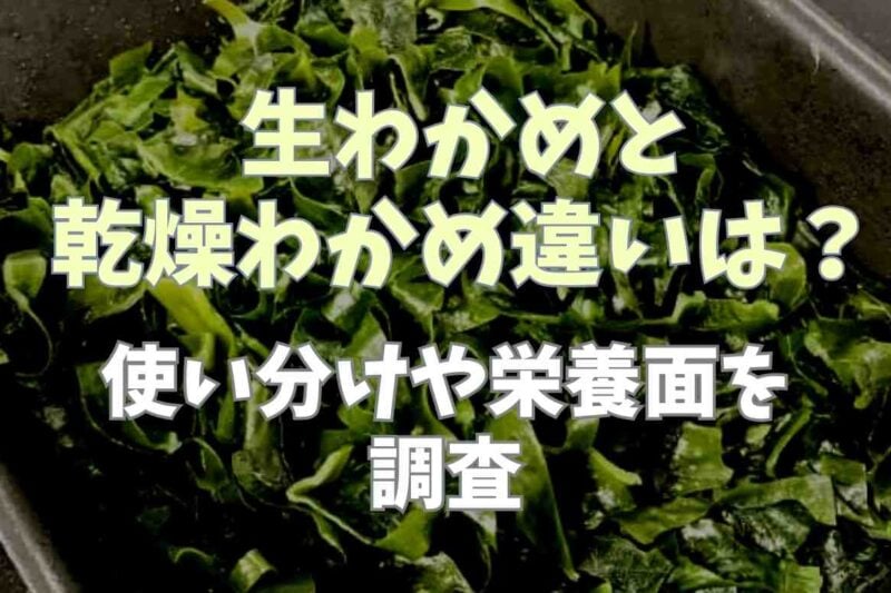 生わかめと乾燥わかめどっちがいいの？使い分けや栄養面を調査
