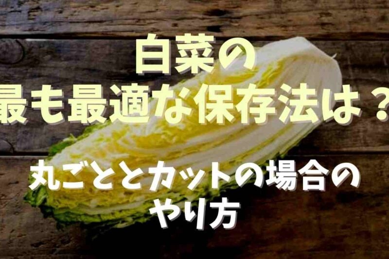 白菜の保存方法で最も最適なのはどんな方法？