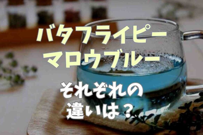 バタフライピーとマロウブルーの違いは？色の変化や味を比較やどっちがおすすめ？