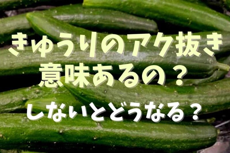 きゅうりのアク抜きは意味ない？やり方としないとどうなるか紹介