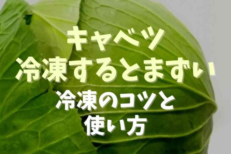 キャベツを冷凍するとまずい理由！冷凍のコツと使い切りレシピを紹介