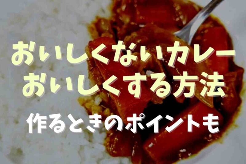 カレーがおいしくない時においしくする方法は？作るときのポイントについても！
