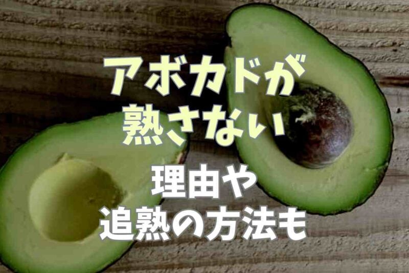 アボカドが熟さないのはなぜ？切った場合の対処方法や追熟の方法も調査