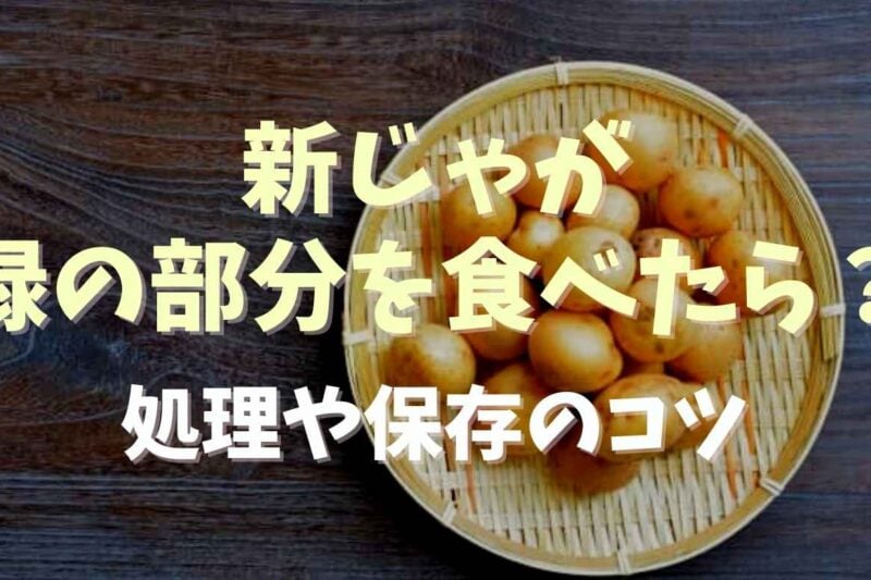 新じゃがの緑の部分を食べたらどうなる？処理や保存のコツを紹介