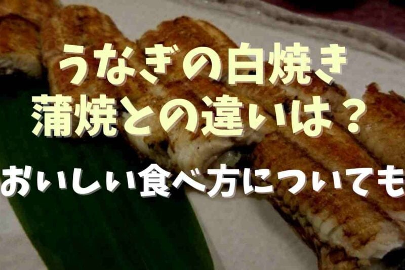 うなぎ白焼きと蒲焼の違いは？白焼きのおいしい食べ方も調査