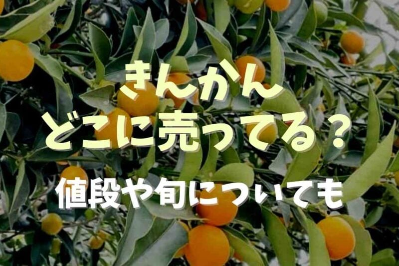 金柑はどこで売ってる？値段や旬についても調査