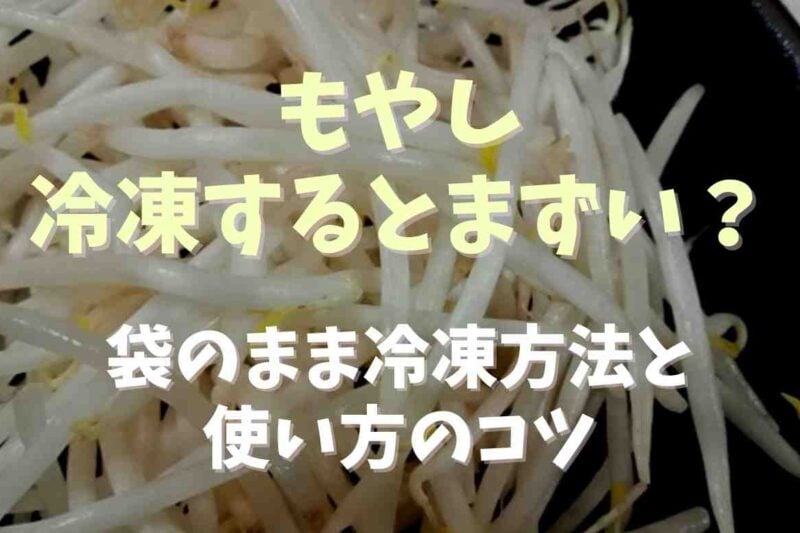 もやしの冷凍はまずい？そのまま袋ごと冷凍する方法と使い方のコツ