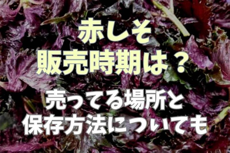 赤しその販売時期と売ってる場所は？保存方法についても！