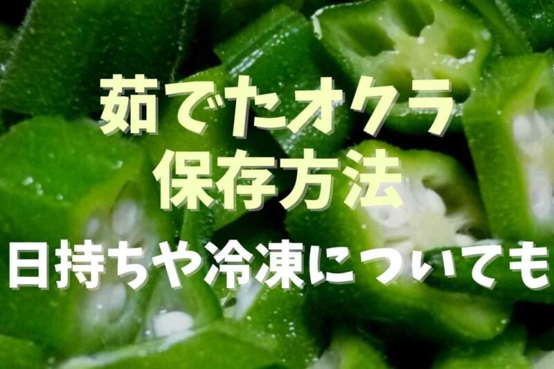 茹でたオクラの日持ちは冷蔵庫で何日？長持ちさせる保存法と腐ったサイン