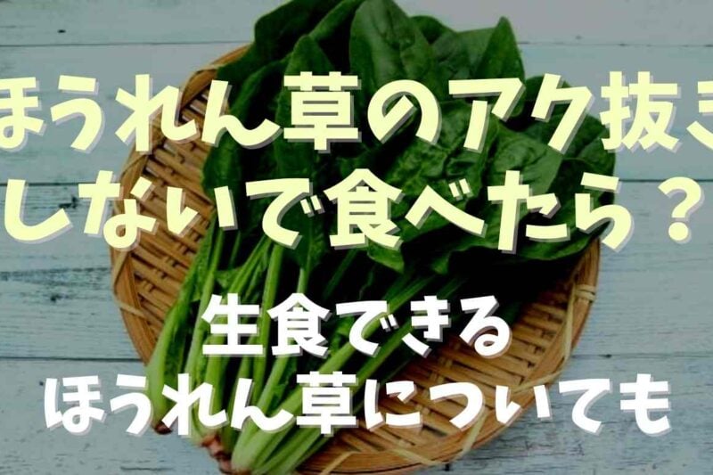 ほうれん草をアク抜きしないで食べたらどうなる？生食できるほうれん草についても