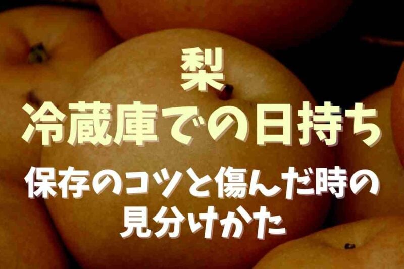 梨の冷蔵庫での日持ちはどのくらい？保存のコツと傷んだ時の見分け方