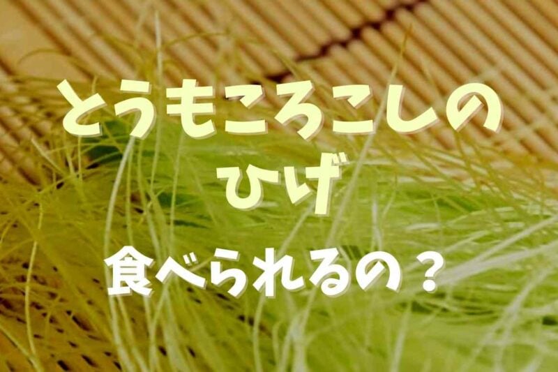 とうもろこしのひげは食べられる？活用方法と注意点も