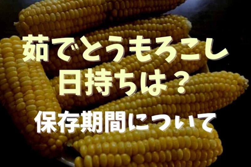 茹でたとうもろこしの日持ちは冷蔵庫でどのくらい？保存期間を伸ばすなら冷凍保存