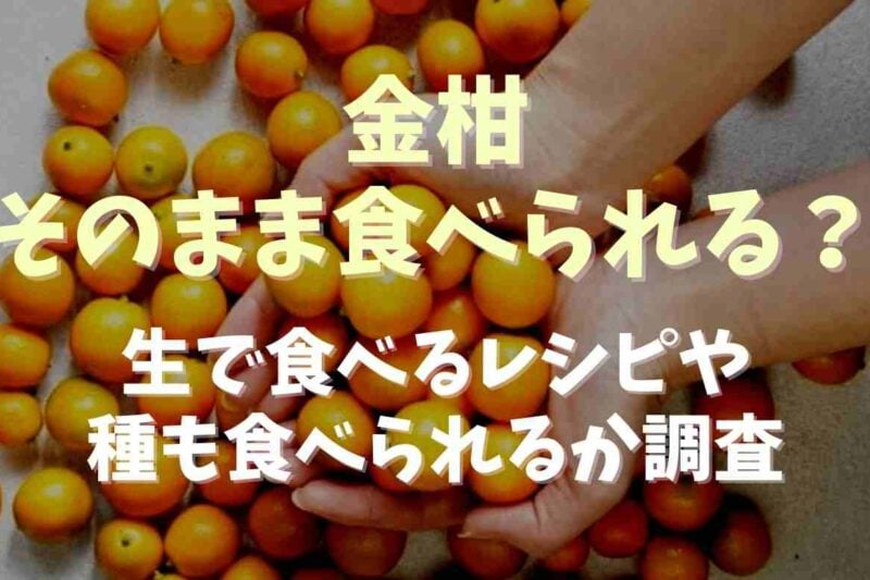 金柑はそのまま食べれる？生で食べるレシピや種も食べれるのかも調査