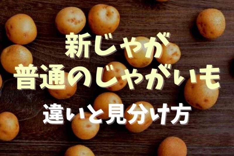 新じゃがと普通のじゃがいもの違いは？見分け方やおすすめレシピも紹介
