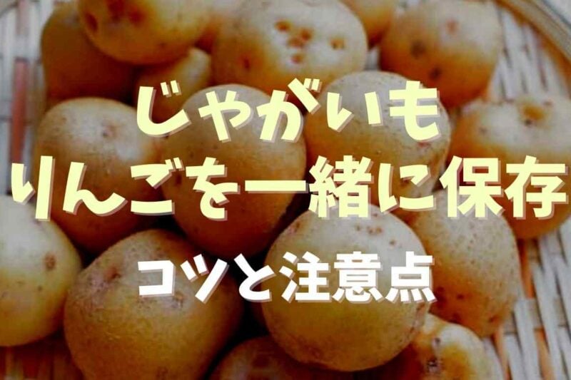 じゃがいもとりんごを一緒に保存するとどうなる？保存のコツも紹介