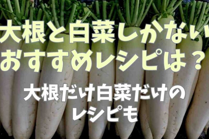 大根と白菜しかない時のおすすめレシピ！大根だけや白菜だけのレシピも