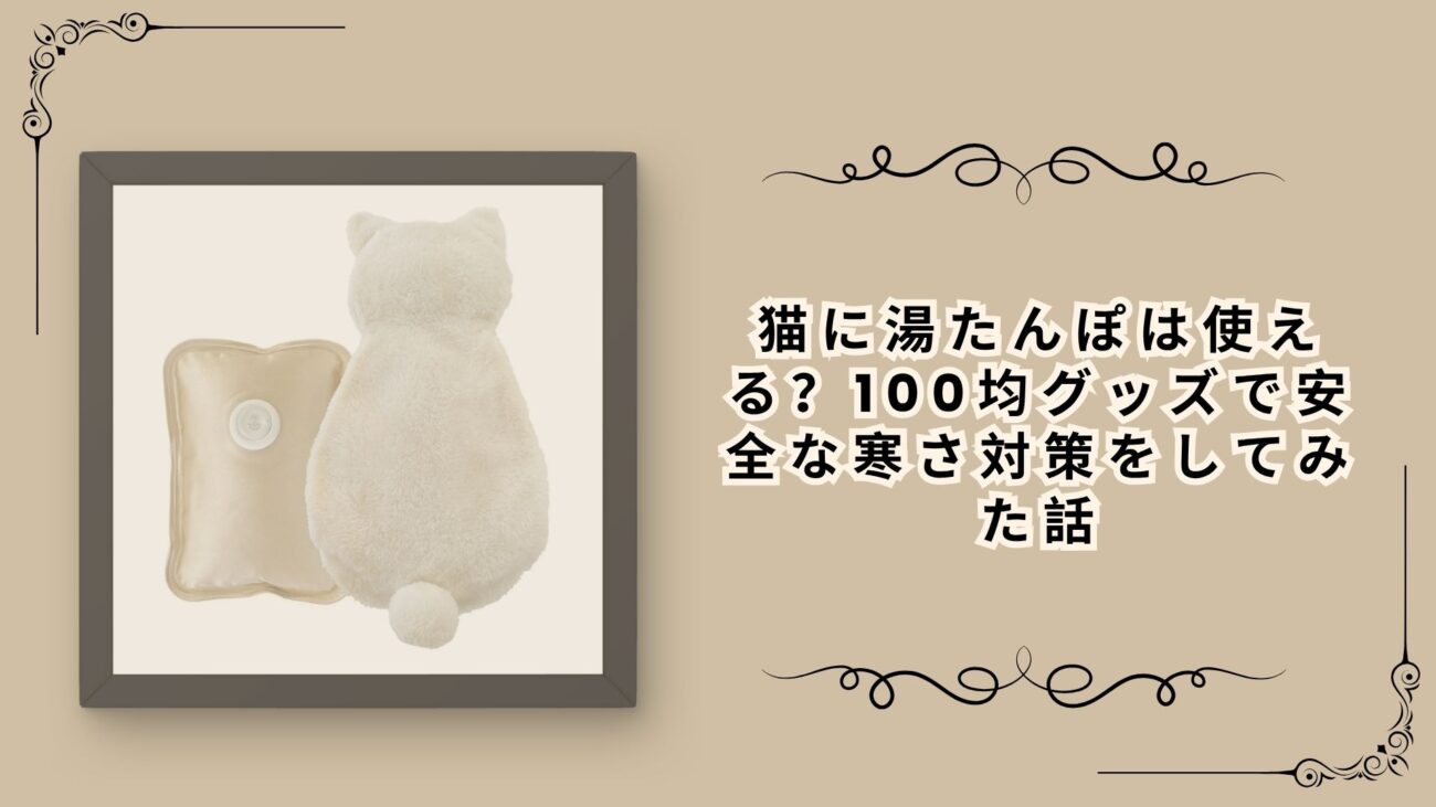 猫に湯たんぽは使える？100均グッズで安全な寒さ対策をしてみた話