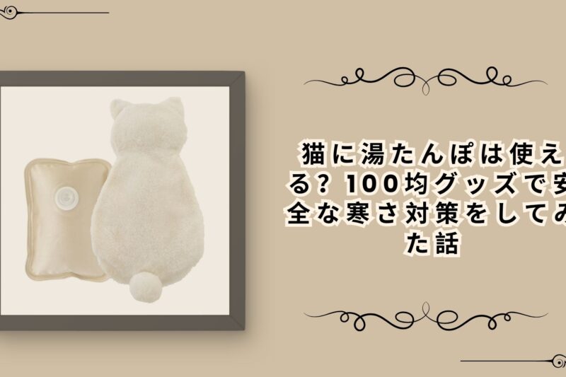 猫に湯たんぽは使える？100均グッズで安全な寒さ対策をしてみた話