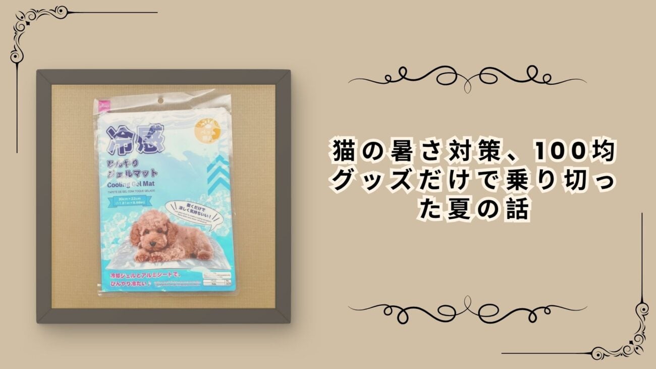 猫の暑さ対策、100均グッズだけで乗り切った夏の話