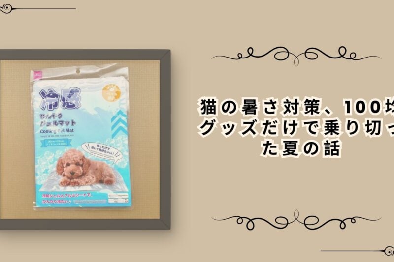 猫の暑さ対策、100均グッズだけで乗り切った夏の話