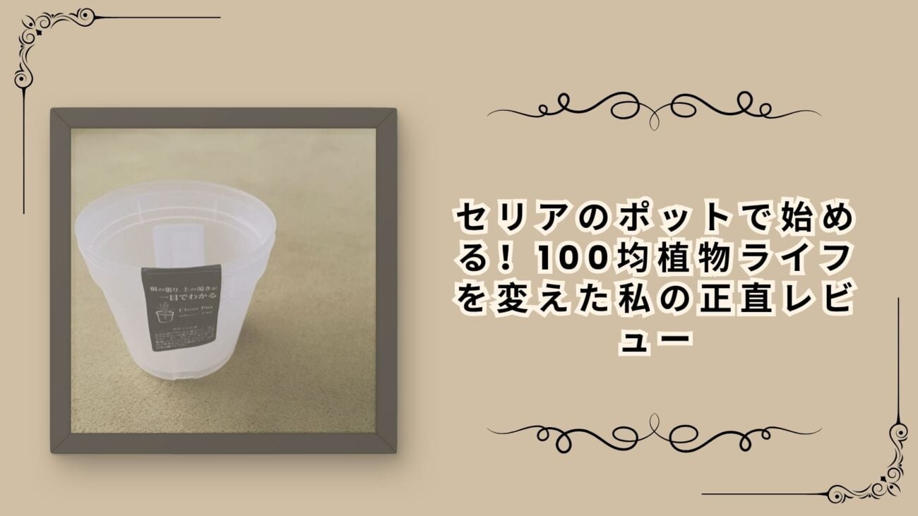 セリアのポットで始める！100均植物ライフを変えた私の正直レビュー