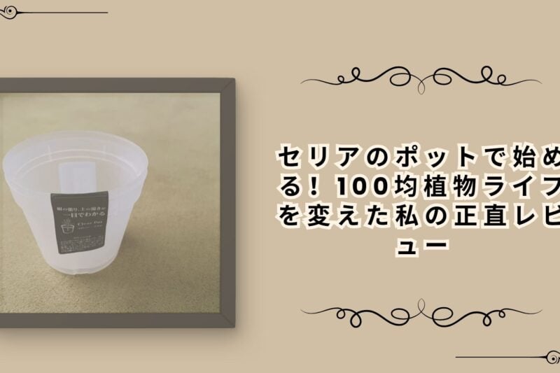 セリアのポットで始める！100均植物ライフを変えた私の正直レビュー