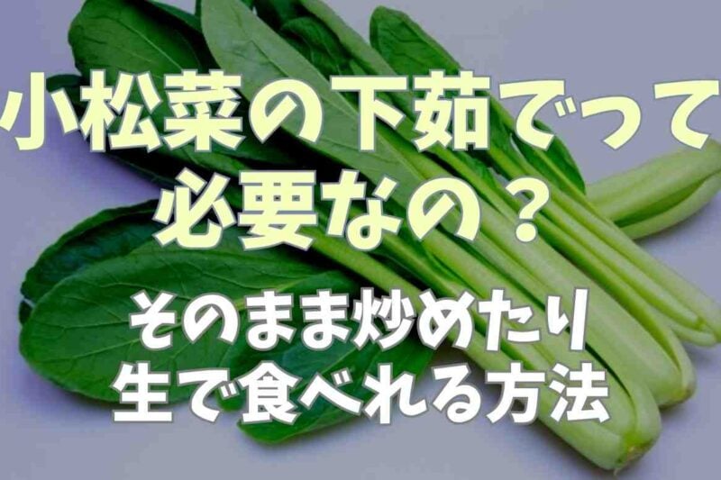 小松菜の下茹では必要？そのまま炒めたり生で食べれる方法も！