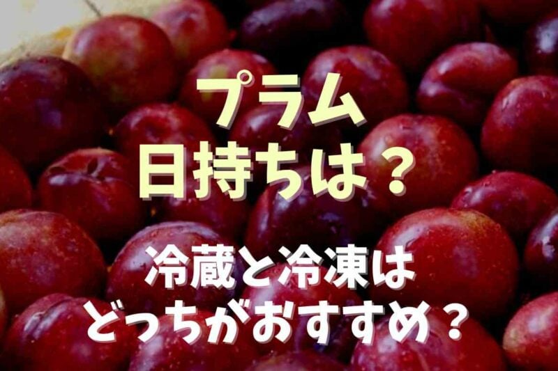 プラムの日持ちは？保存方法は冷蔵庫と冷凍庫どっち？