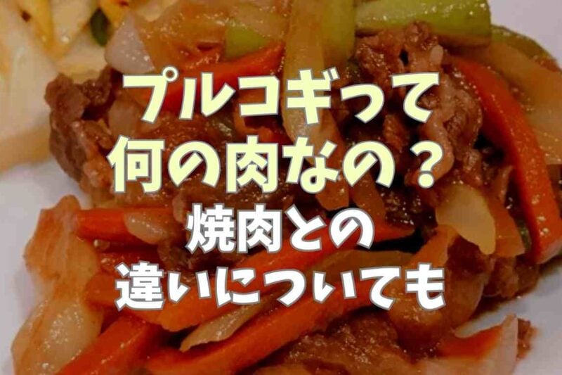 プルコギって何の肉なの？焼肉との違いについても