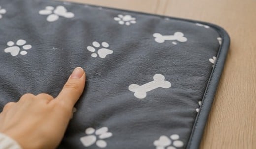 札幌 猫 暑さ対策 ダイソー セリア